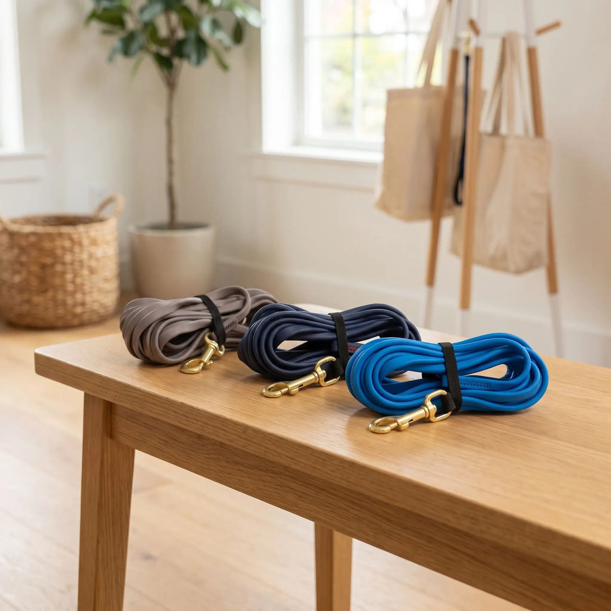 Longe pour chien marron,noir ou bleu
