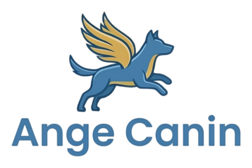 Ange Canin