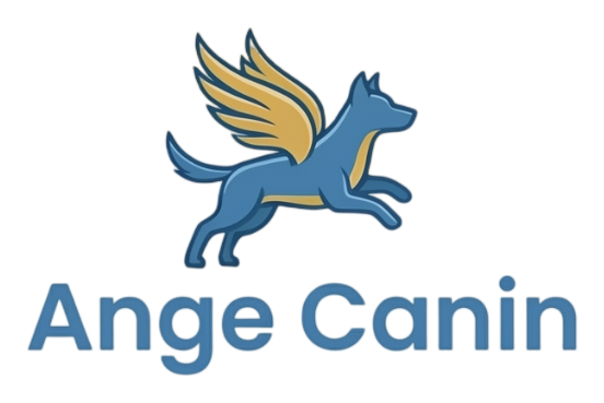 Ange Canin