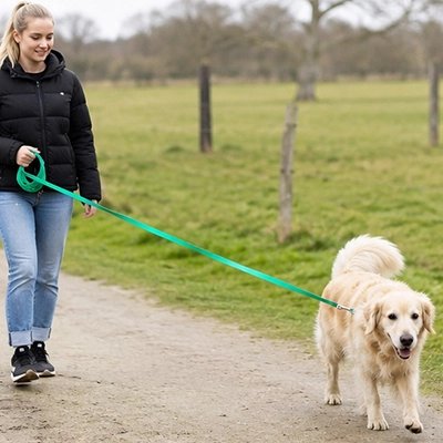 Femme promène son chien avec Longe pour Chien verte