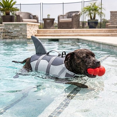 Gilet de sauvetage Chien