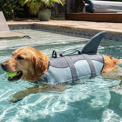 Gilet de sauvetage Chien