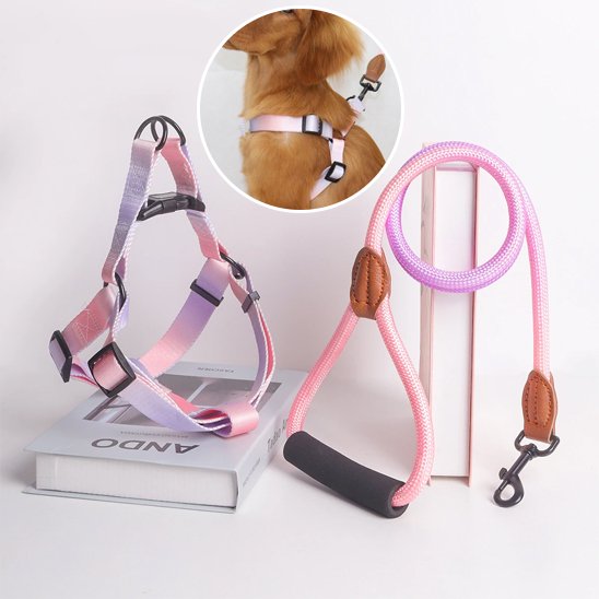 Harnais pour chien