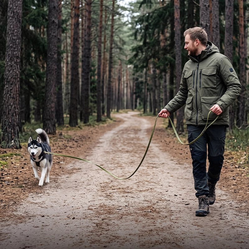 Homme promène son chien avec longe pour Chien verte