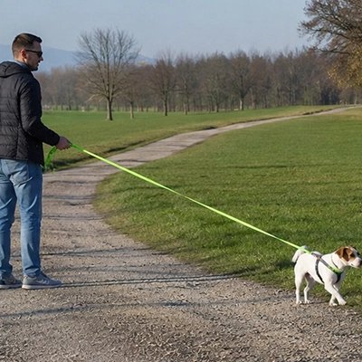 Homme promène son chien avec une Longe pour Chien vert pâle