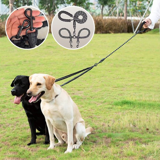 Laisse double pour chien