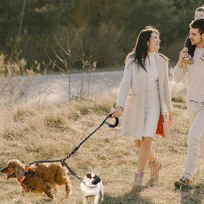 Laisse double pour chien