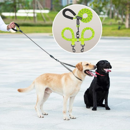 Laisse double pour chien