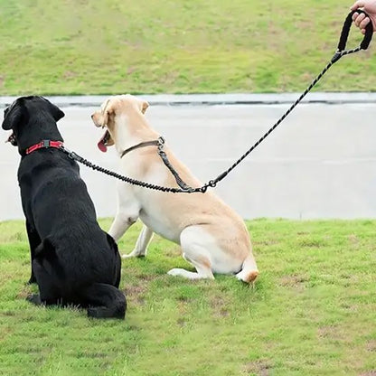 Laisse double pour chien