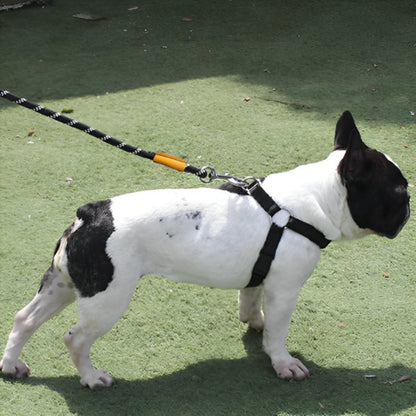 Chien a l'arrêt avec laisse pour chien noir et blanc tressée