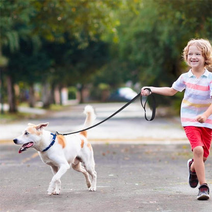 Laisse pour chien