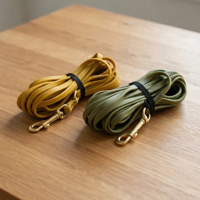 Longe pour Chien jaune ou vert