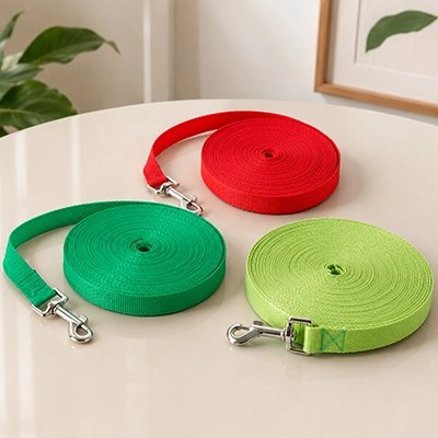 Longe pour Chien vert pâle, vert, rouge