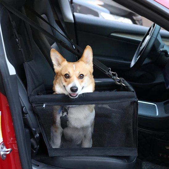 Siege auto pour chien