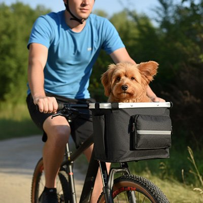 Vélo panier Chien